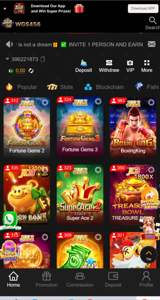 WGS 456 Game