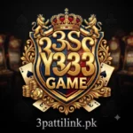 Y333 Game